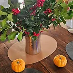 Oustal De Piarelle * Saint-Jean-du-Bruel