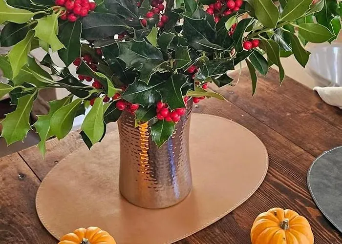 Oustal De Piarelle * Saint-Jean-du-Bruel